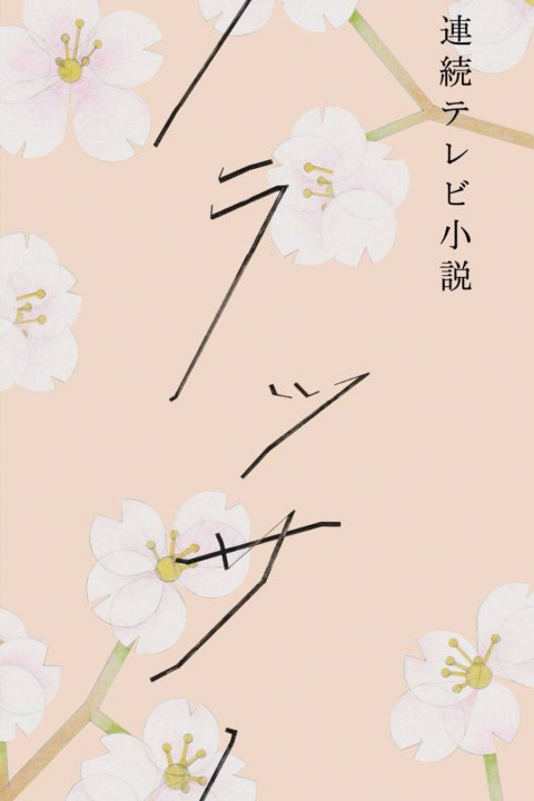 Постер: Blossom (2026)